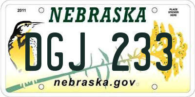 NE license plate DGJ233