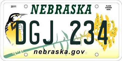 NE license plate DGJ234