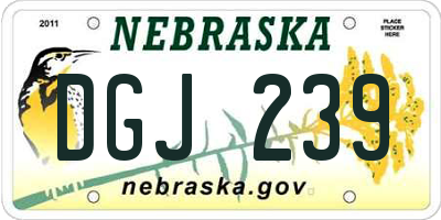 NE license plate DGJ239