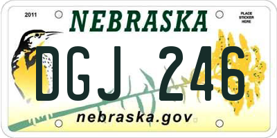NE license plate DGJ246