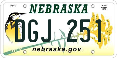 NE license plate DGJ251