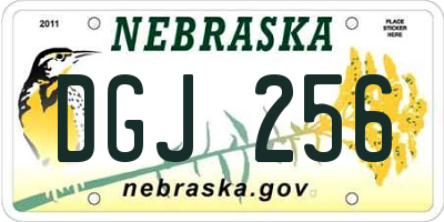 NE license plate DGJ256