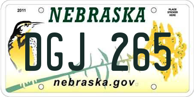 NE license plate DGJ265