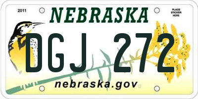 NE license plate DGJ272