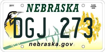 NE license plate DGJ273