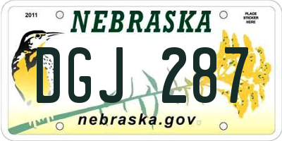 NE license plate DGJ287