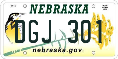 NE license plate DGJ301