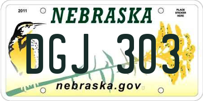 NE license plate DGJ303