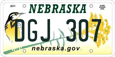 NE license plate DGJ307