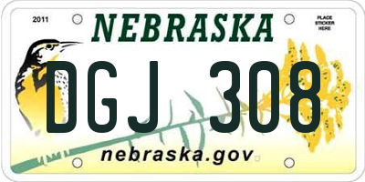 NE license plate DGJ308
