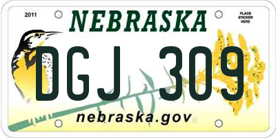 NE license plate DGJ309