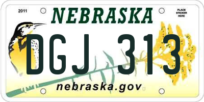 NE license plate DGJ313