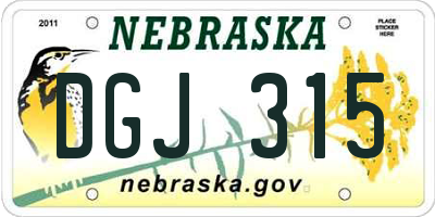 NE license plate DGJ315