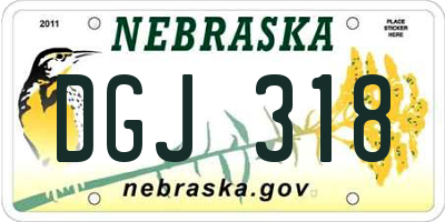 NE license plate DGJ318