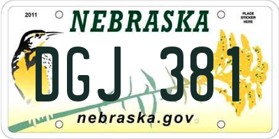 NE license plate DGJ381