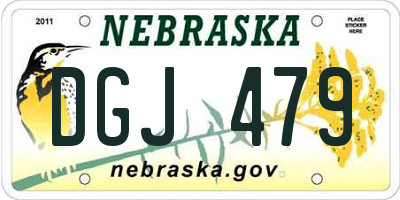 NE license plate DGJ479