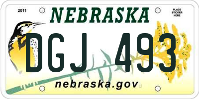 NE license plate DGJ493