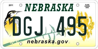 NE license plate DGJ495