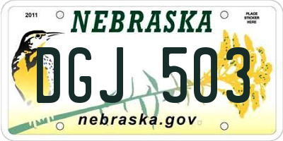 NE license plate DGJ503