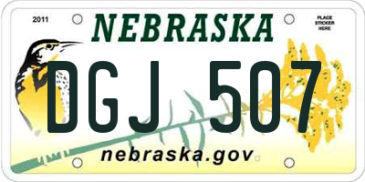 NE license plate DGJ507