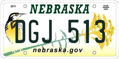 NE license plate DGJ513