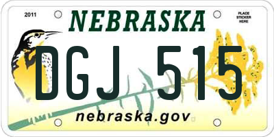 NE license plate DGJ515