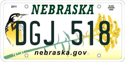 NE license plate DGJ518