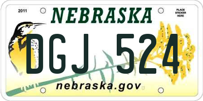 NE license plate DGJ524