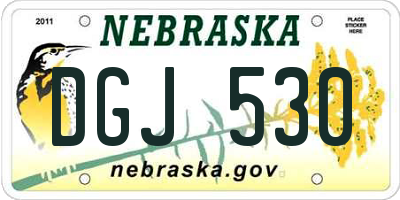 NE license plate DGJ530