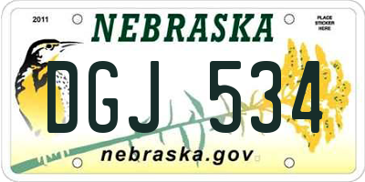 NE license plate DGJ534