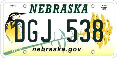 NE license plate DGJ538