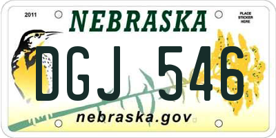 NE license plate DGJ546