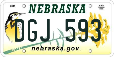 NE license plate DGJ593