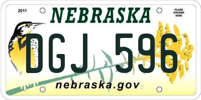 NE license plate DGJ596