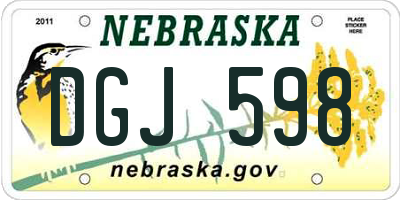 NE license plate DGJ598
