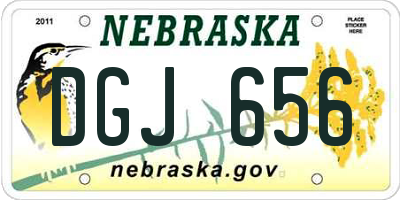 NE license plate DGJ656