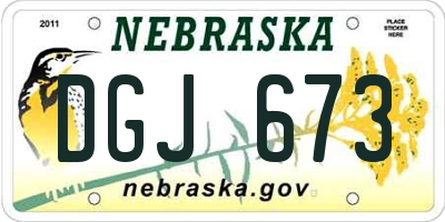 NE license plate DGJ673