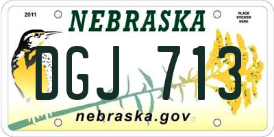 NE license plate DGJ713