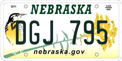 NE license plate DGJ795