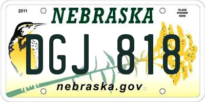 NE license plate DGJ818