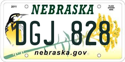 NE license plate DGJ828