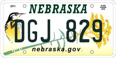 NE license plate DGJ829