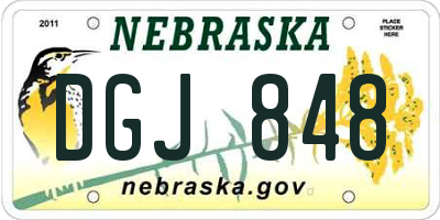 NE license plate DGJ848
