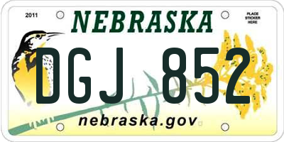 NE license plate DGJ852