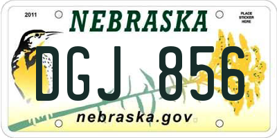 NE license plate DGJ856
