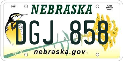 NE license plate DGJ858