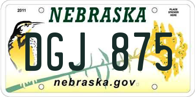 NE license plate DGJ875