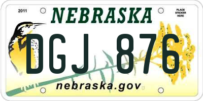 NE license plate DGJ876