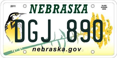 NE license plate DGJ890