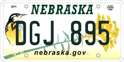 NE license plate DGJ895